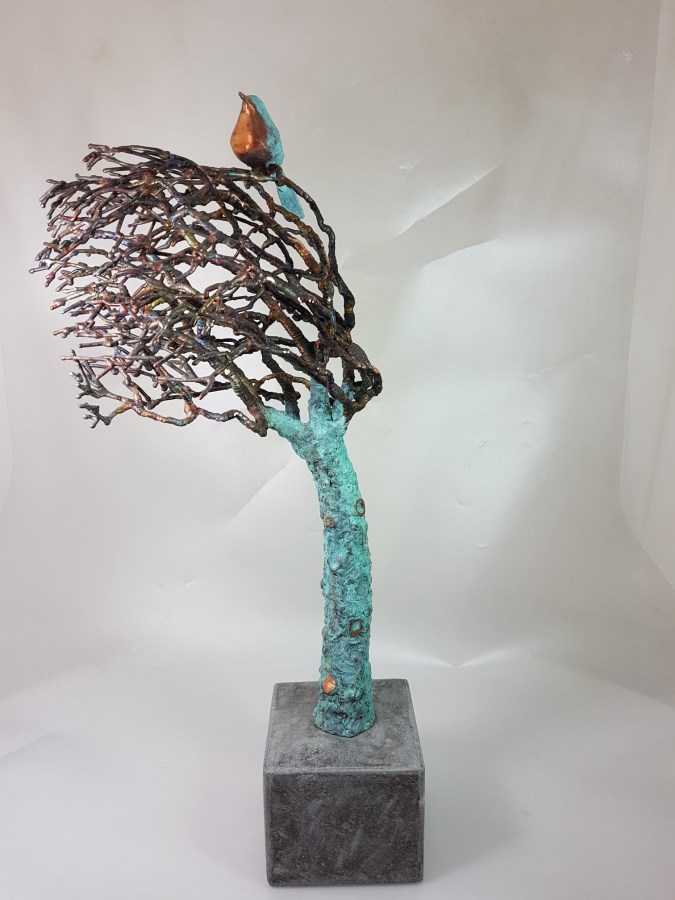 Windswept image
